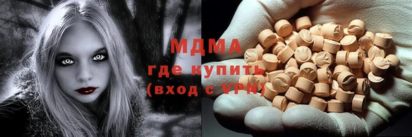 индика Инсар