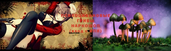 кристаллы Заволжье